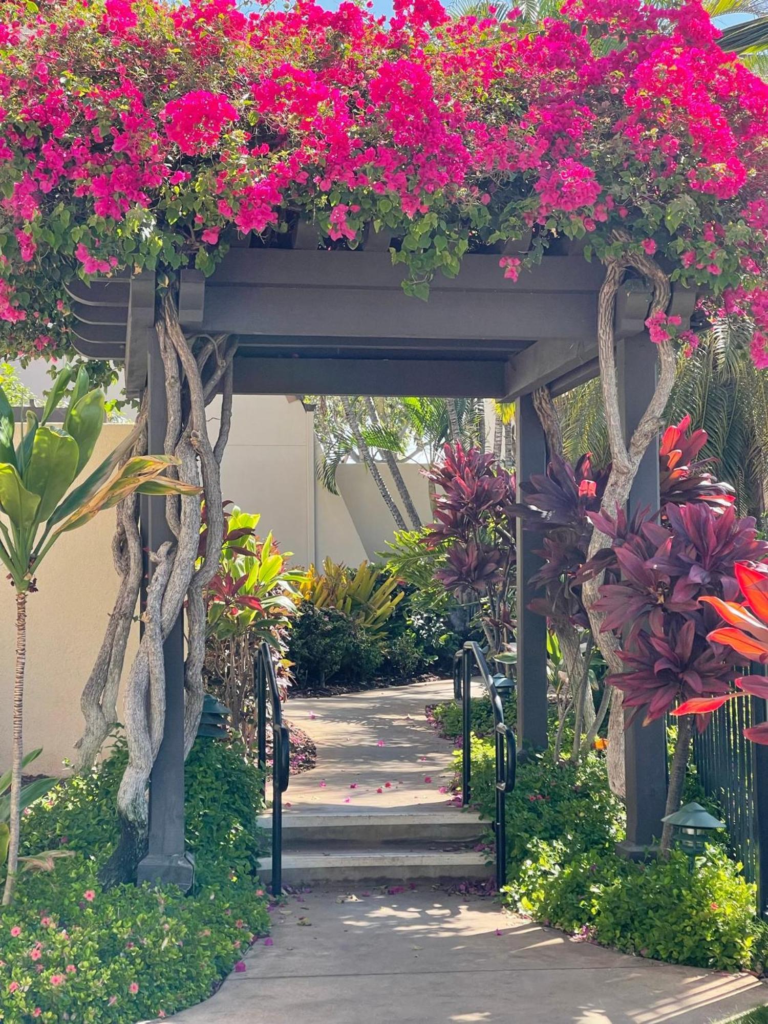 Tropical Maui Kamaole B-Bldg Appartement Wailea  Buitenkant foto